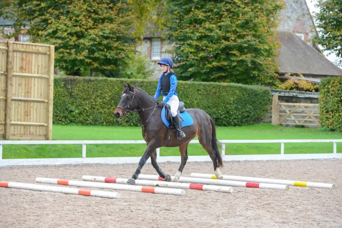 distance-barres-au-sol-au-trot