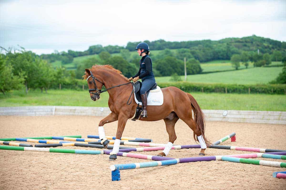 distance-foulees-cheval-barre-au-sol-obstacles