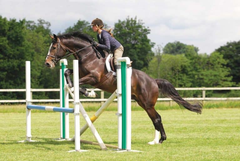 distance-sauts-de-puce-cheval-vertical-au-trot