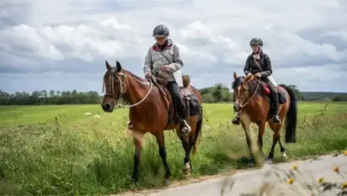 equitation-ponts-mai-week-ends-cheval