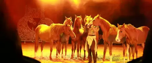 festival-equestria-30-ans-juillet-2026