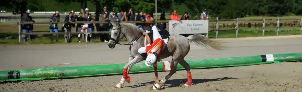 grand-tournoi-2026-lamotte-beuvron