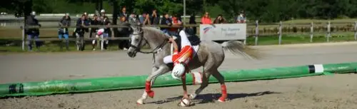 grand-tournoi-2026-lamotte-beuvron