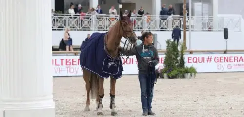 groom-cheval