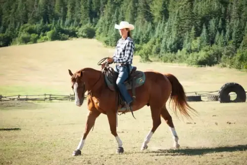 homosexualite-equitation-temoignages-discriminations-france