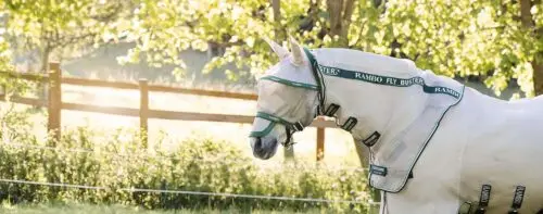 masque-anti-mouches-cheval