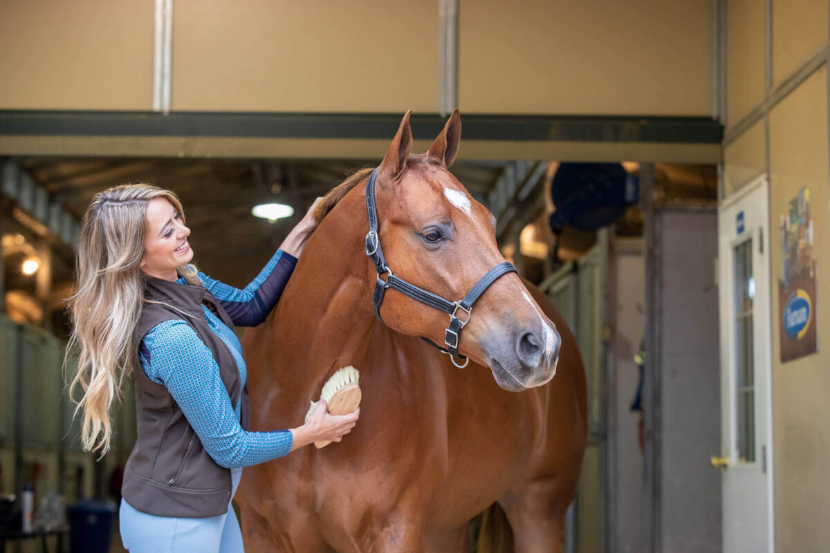 pansage-cheval-definition-ordre
