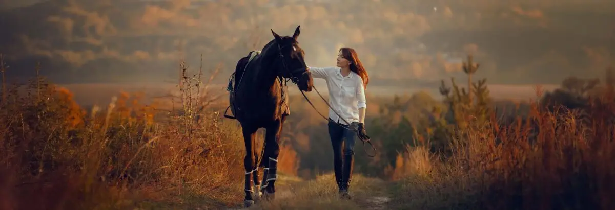 recrutement-filiere-equine