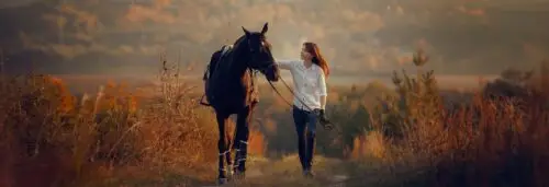 recrutement-filiere-equine