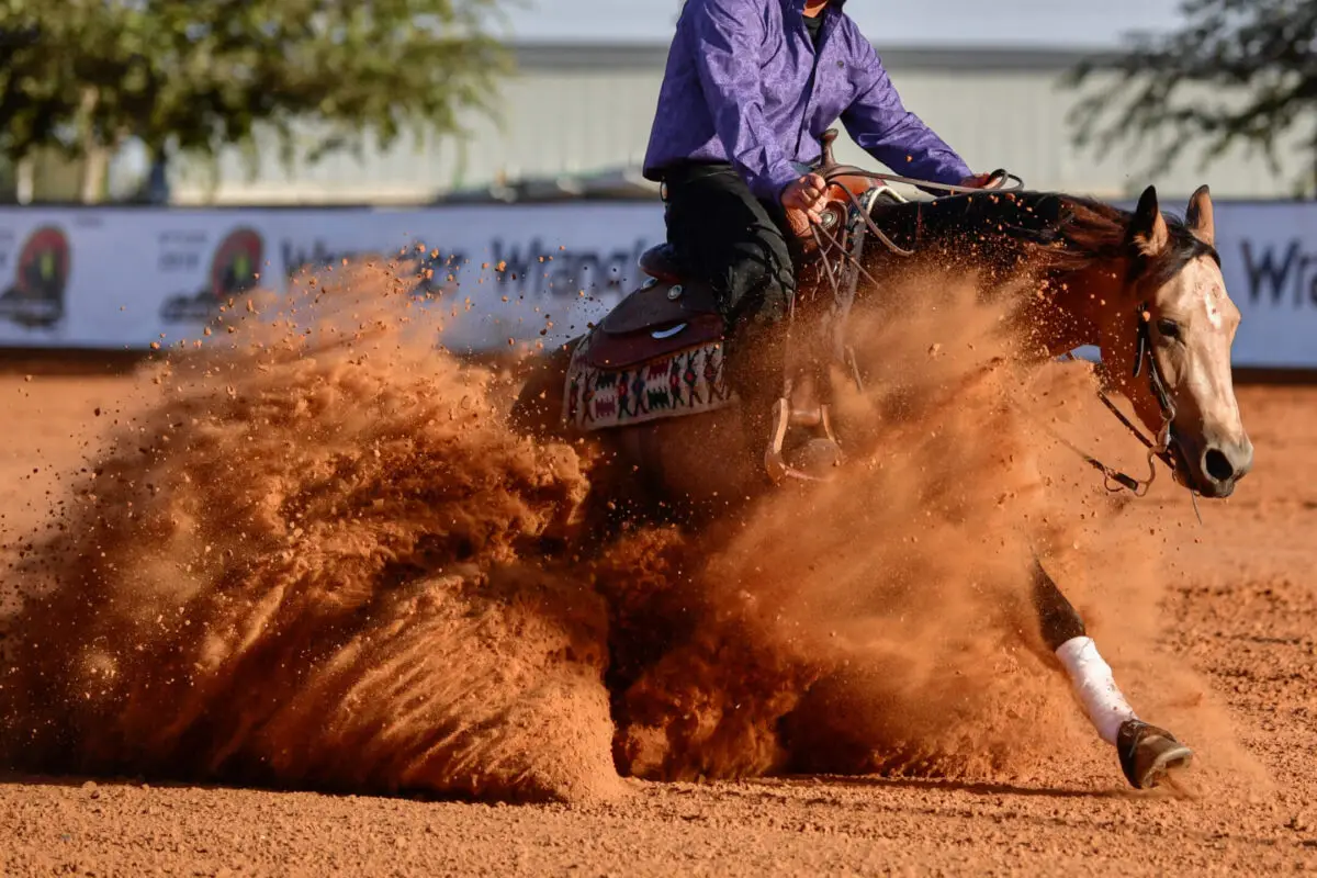 reining-cheval
