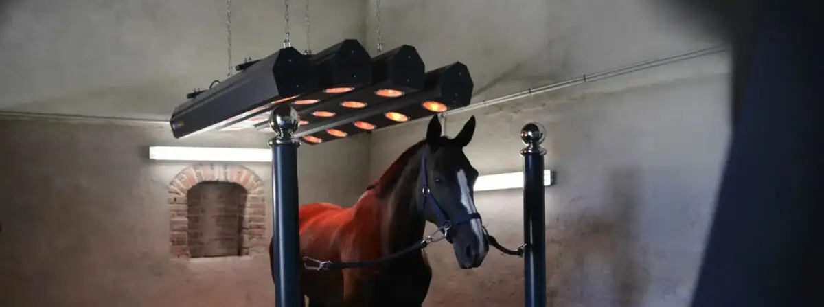 solarium-cheval