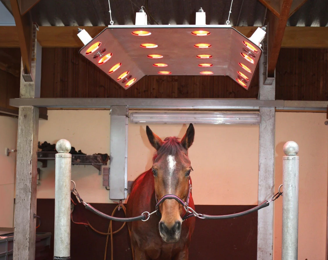 solarium-cheval-S20L-evolution