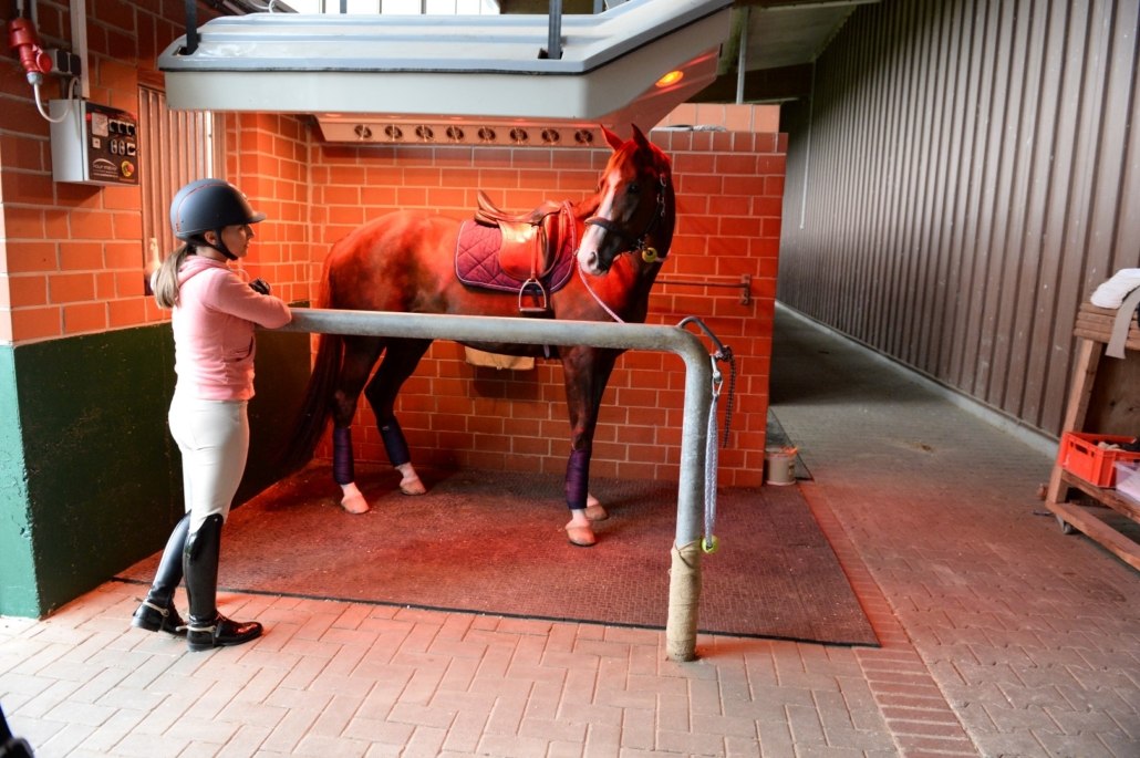 solarium-cheval-summerwind-premium