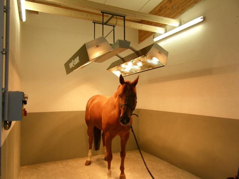 solarium-cheval-sunlight