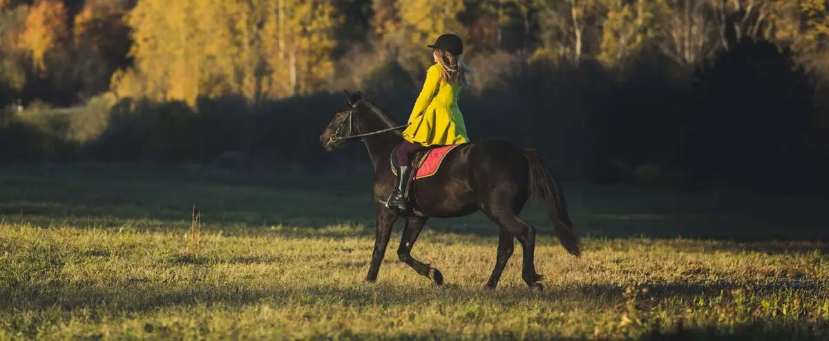 balade-a-cheval