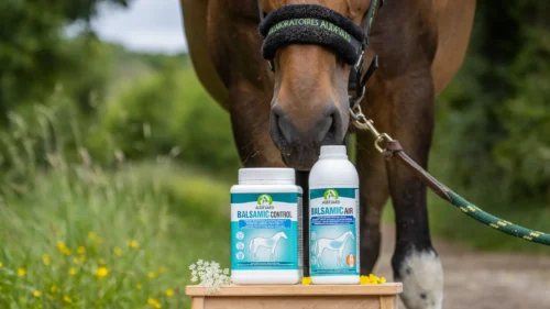 balsamic-air-cheval-prix-utilisation-avis
