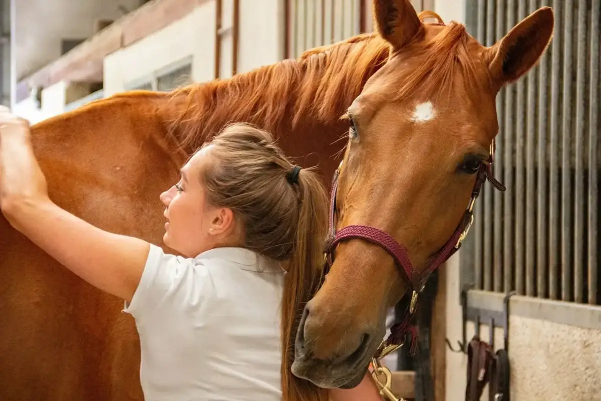 balsasyrup-cheval-prix-utilisation-avis