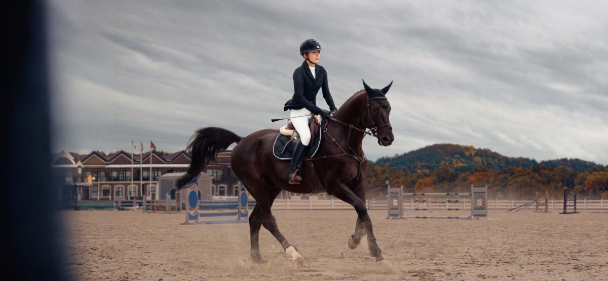 booster-cheval