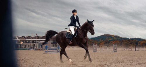booster-cheval