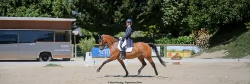 championnats-europe-jeunes-dressage-sélection-2026