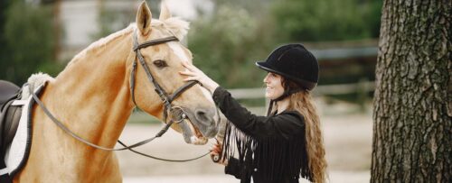 chevaux-a-vendre-a-petit-prix