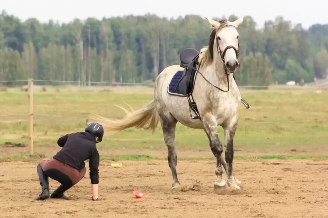 chute-cheval-obstacle-au-galop