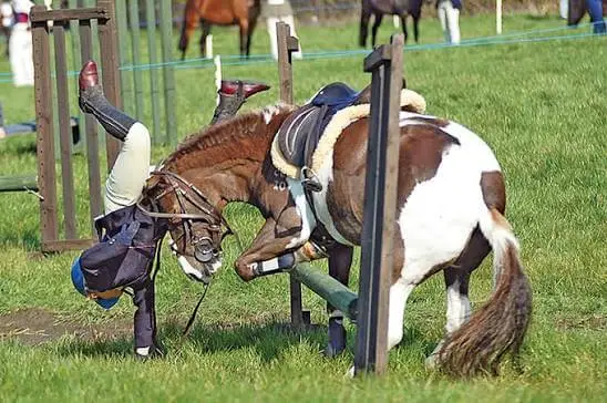 chute-cheval-sur-le-dos-consequences