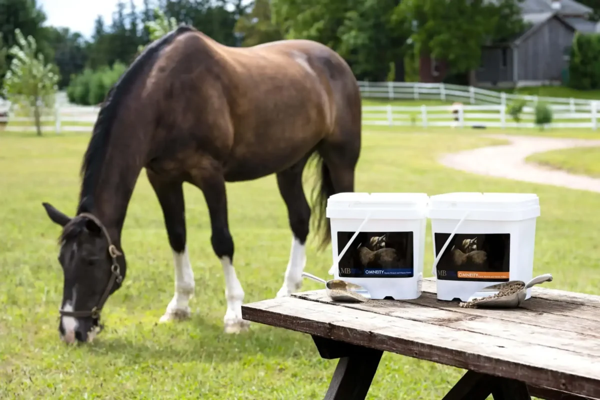 cmv-cheval-utilite-dosage-periode