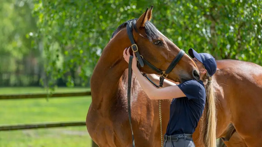 colloque-gratuit-equures-bien-etre-equin-normandie