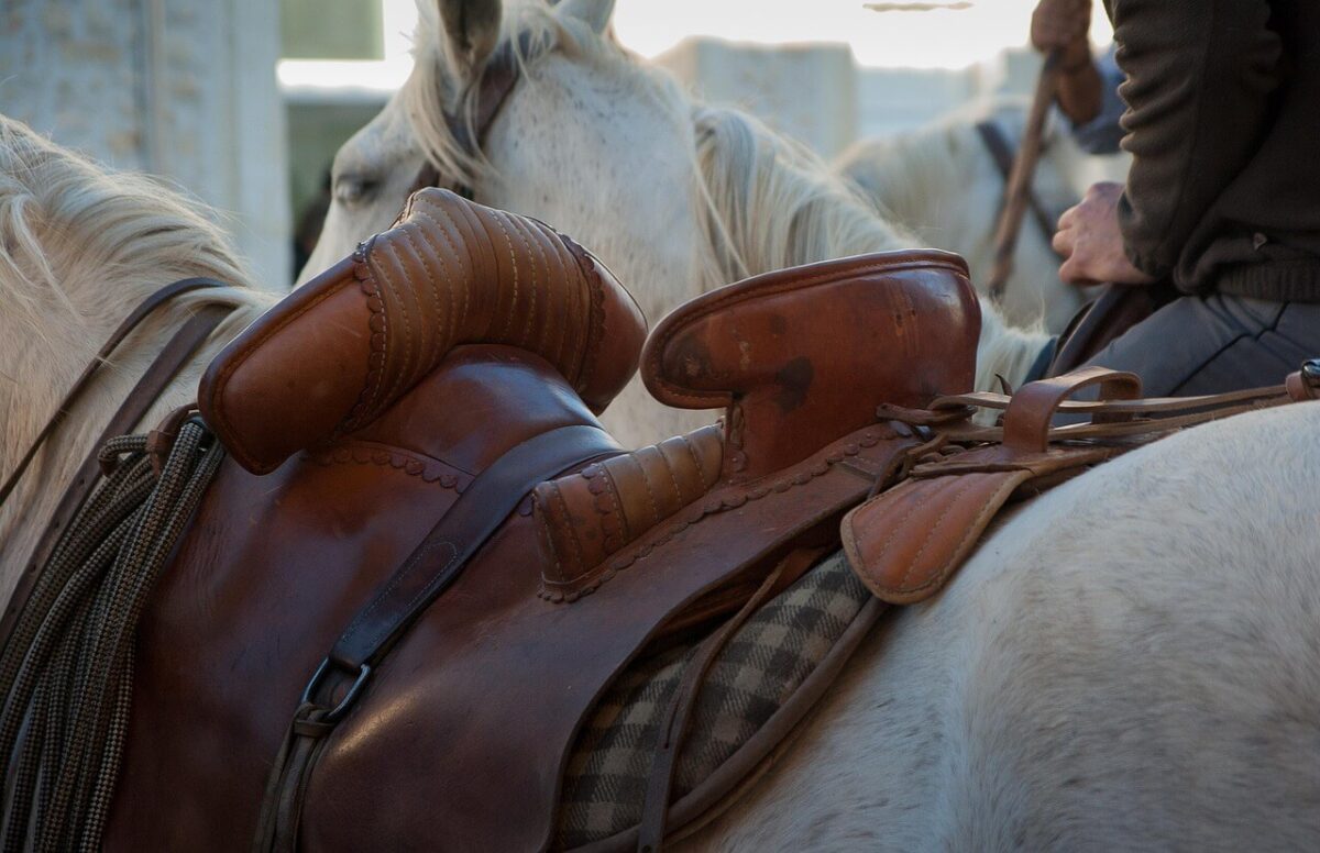 combien-coute-selle-camarguaise