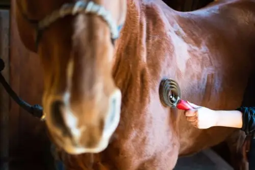 comment-etriller-un-cheval
