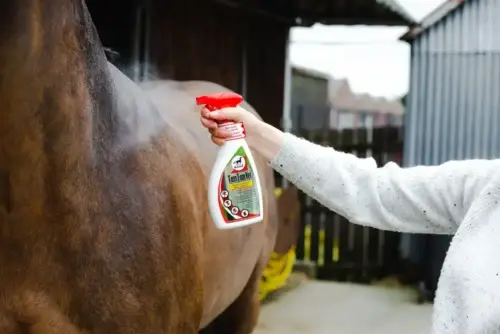 comment-fabriquer-repulsif-insectes-cheval