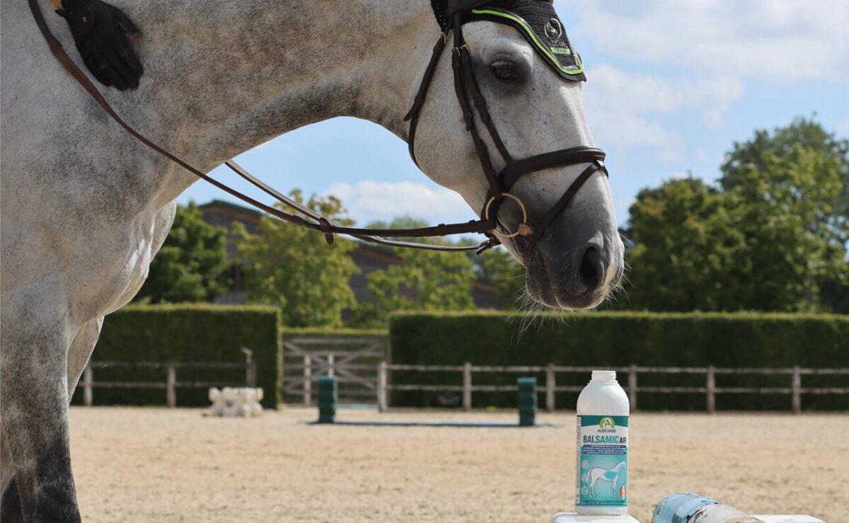 comment-utiliser-air-balsamique-chevaux