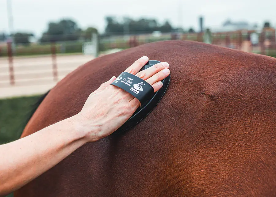 comment-utiliser-trille-americaine-cheval