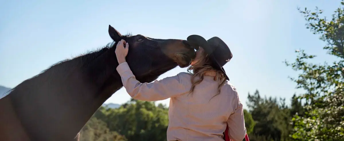 communication-animale-cheval
