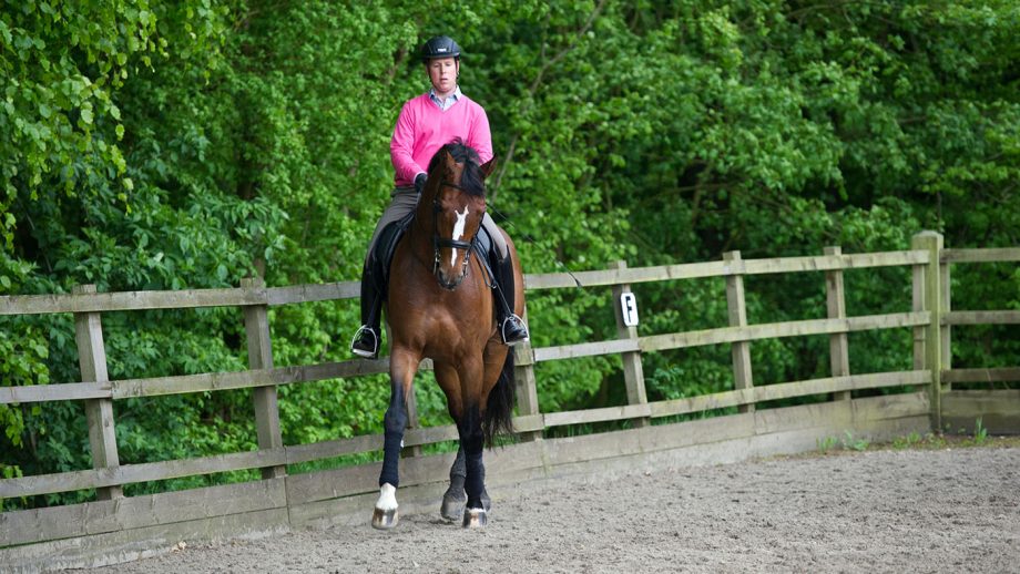 contre-epaule-en-dedans-au-galop