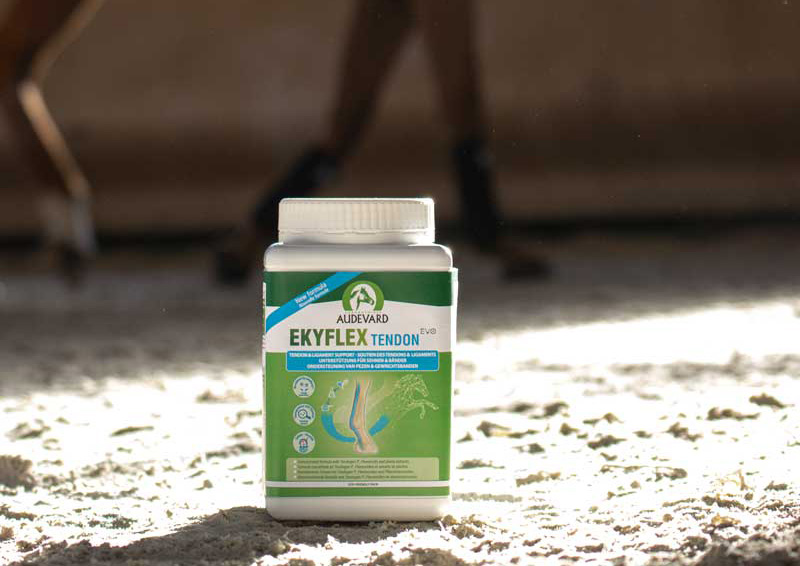 ekyflex-tendon-tarif-quantité