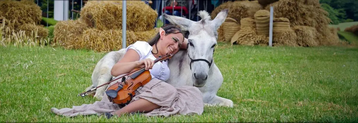fete-de-ane-aux-marais-2026