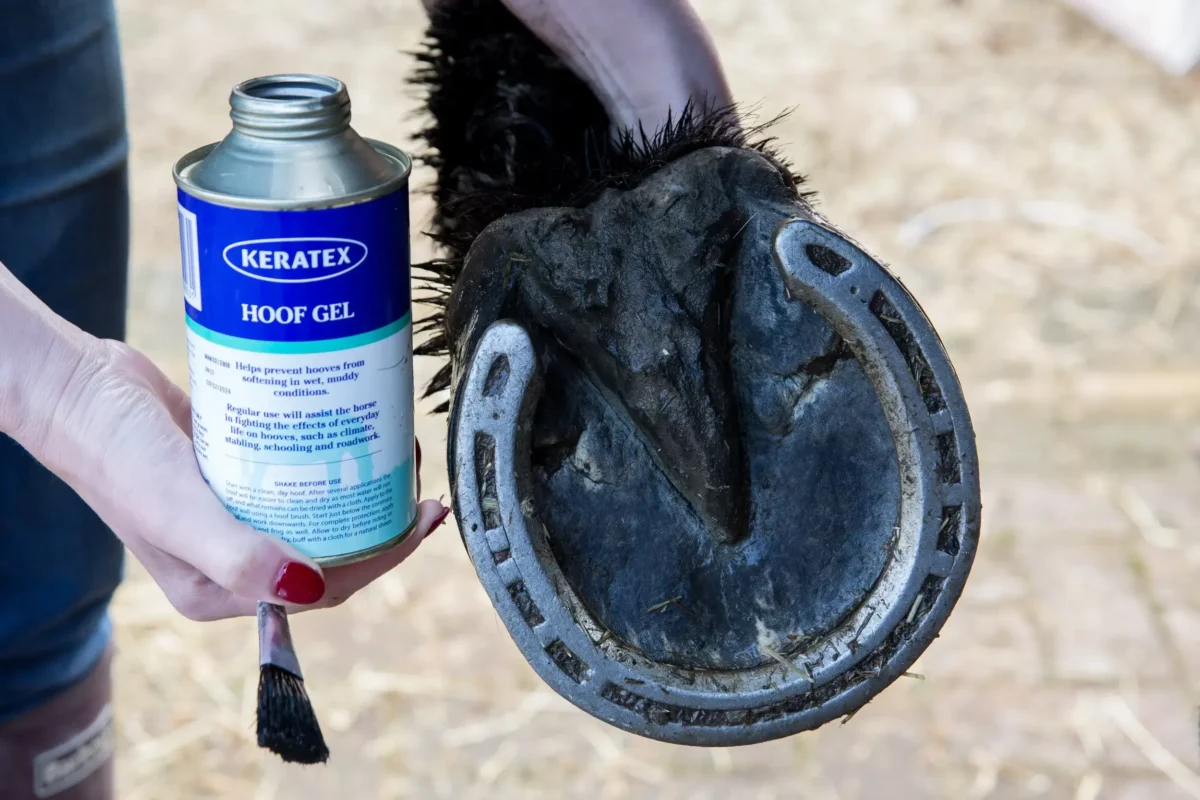 keratex-cheval-prix-utilisation-avis