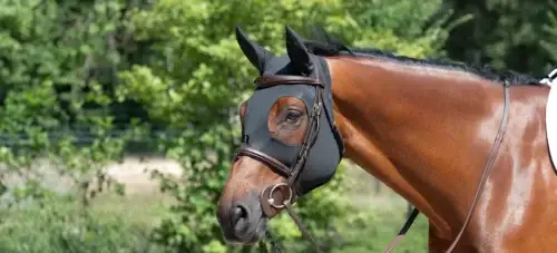 masque-anti-stress-cheval