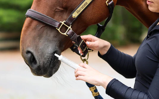 pate-tranquilisante-seringue-cheval