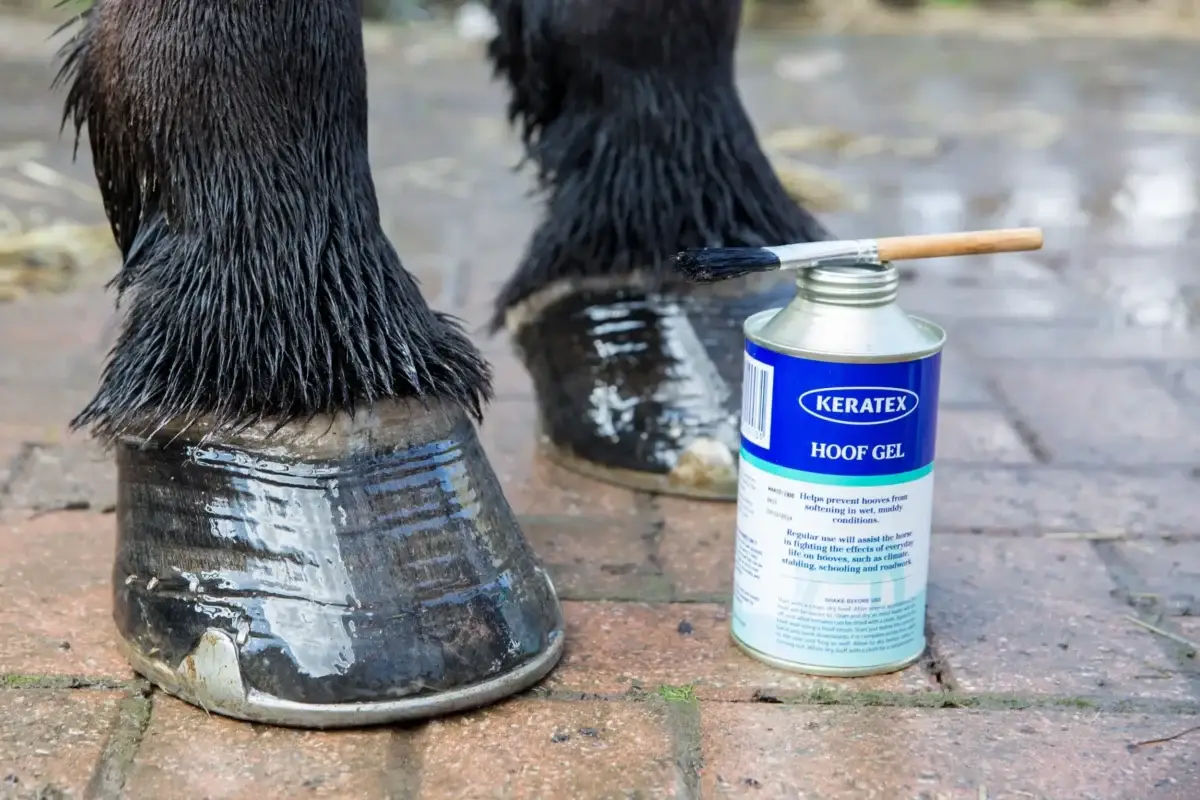produit-keratex-fortifiant-cheval