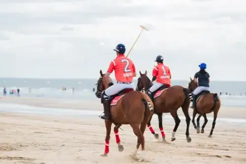 saison-equestre-deauville-2026