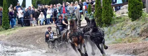 saumur-attelage-2026-boyd-exell-anthony-horde-champions