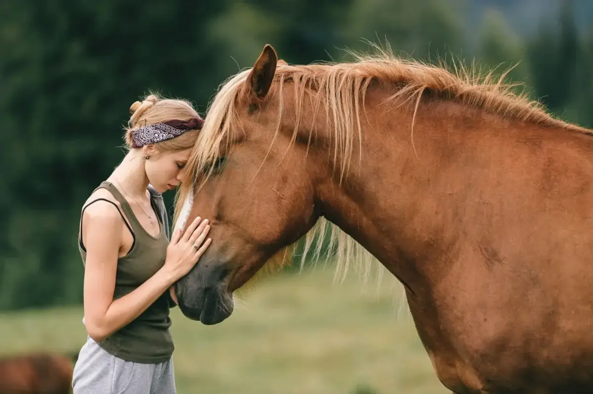 sirop-energisant-cheval-balsasyrup