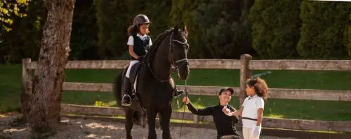 stage-equitation