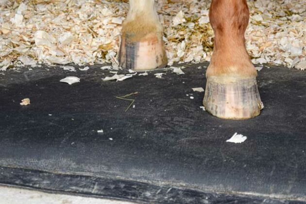 tapis-matelas-confort-cheval