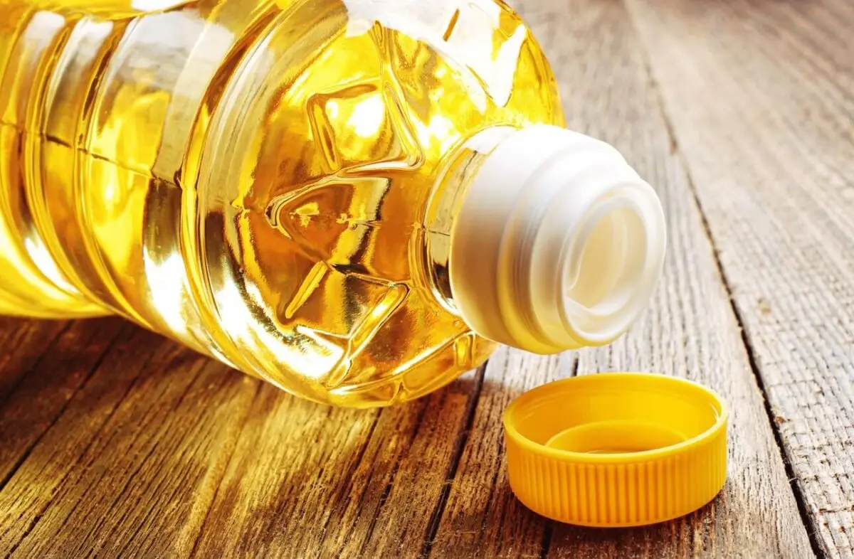 vertus-huile-haarlem-cheval