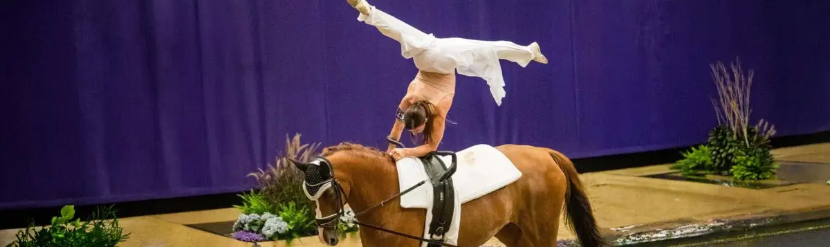 voltige-selection-france-mondiaux-2026