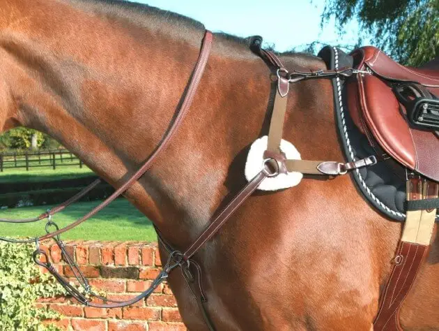 collier-de-chasse-cheval-endurance-prix-3-points